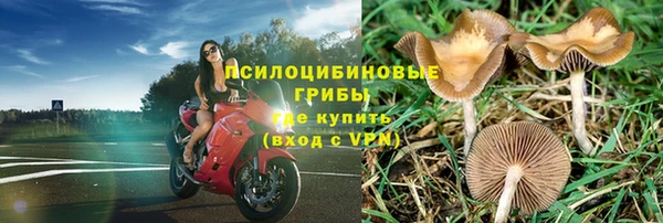 ПСИЛОЦИБИНОВЫЕ ГРИБЫ Алзамай