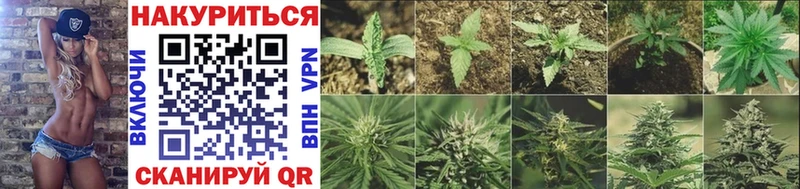 МАРИХУАНА Ganja  Куртамыш 